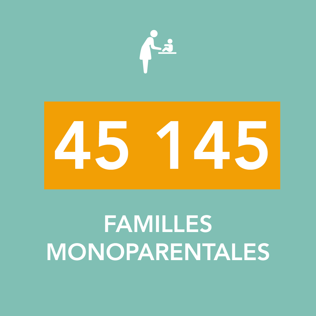 45 145 familles monoparentales